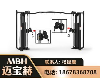 毕节大飞鸟训练器