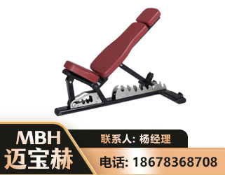 毕节可调哑铃椅